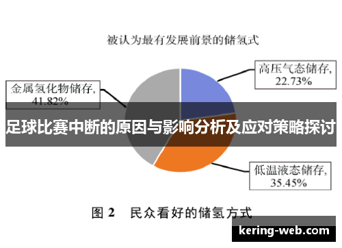 足球比赛中断的原因与影响分析及应对策略探讨