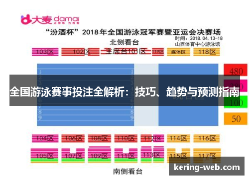 全国游泳赛事投注全解析：技巧、趋势与预测指南